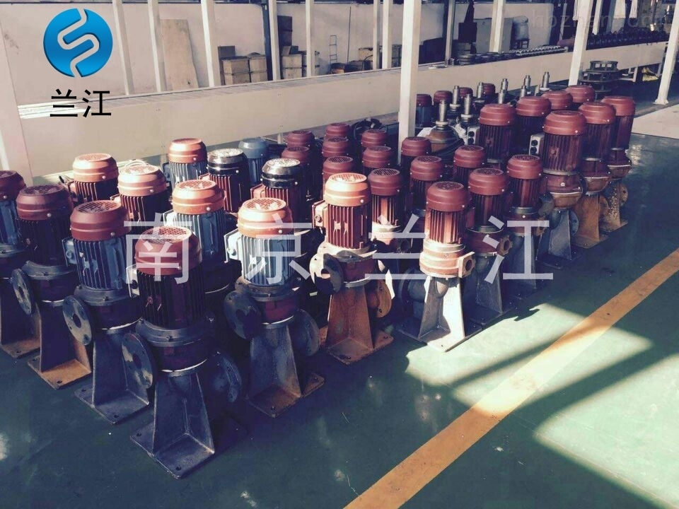 幹式污水(shuǐ)泵250wl1000-30-132
