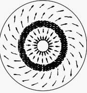 圓形池(chí)