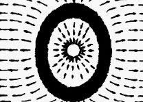 長方形(xíng)池（長：寬(kuān)＜1.5:1）