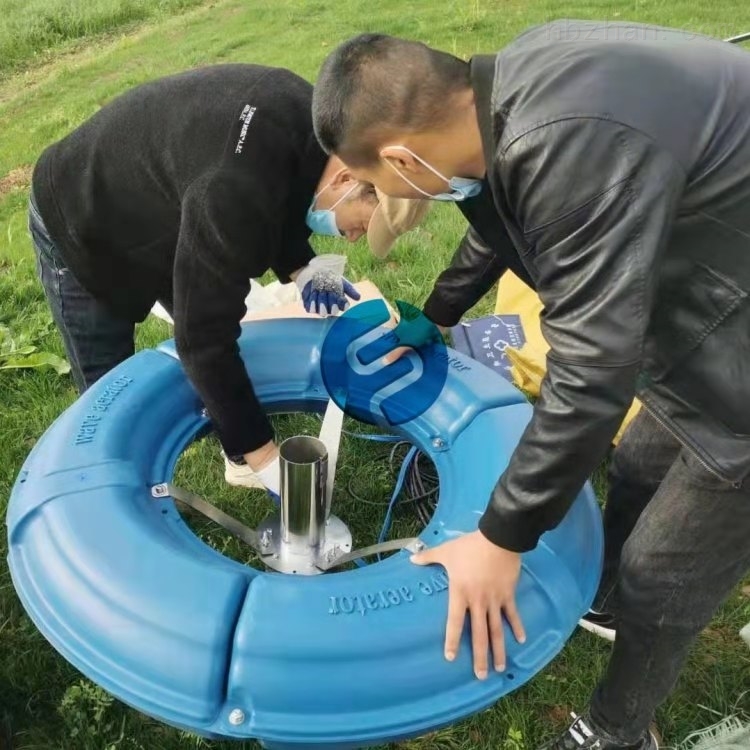 河(hé)道(dào)增氧解層式曝氣機(jī)